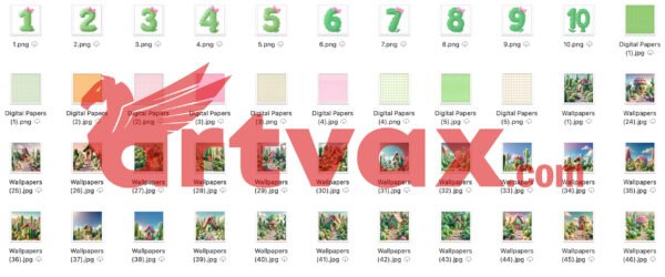 Cute Baby Cactus 3D Clipart Bundle
