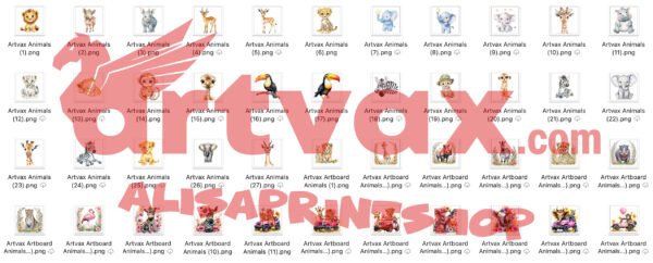 PNG Jungle Safari Animals Bundle